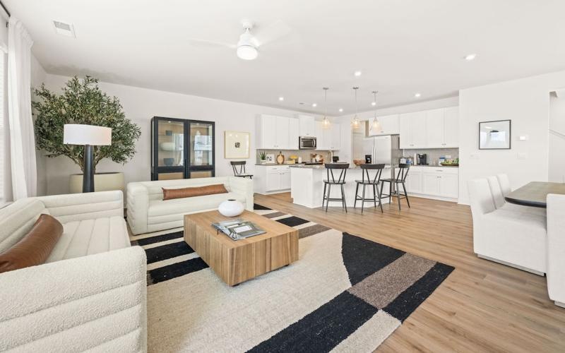 a living room with a rug and couches